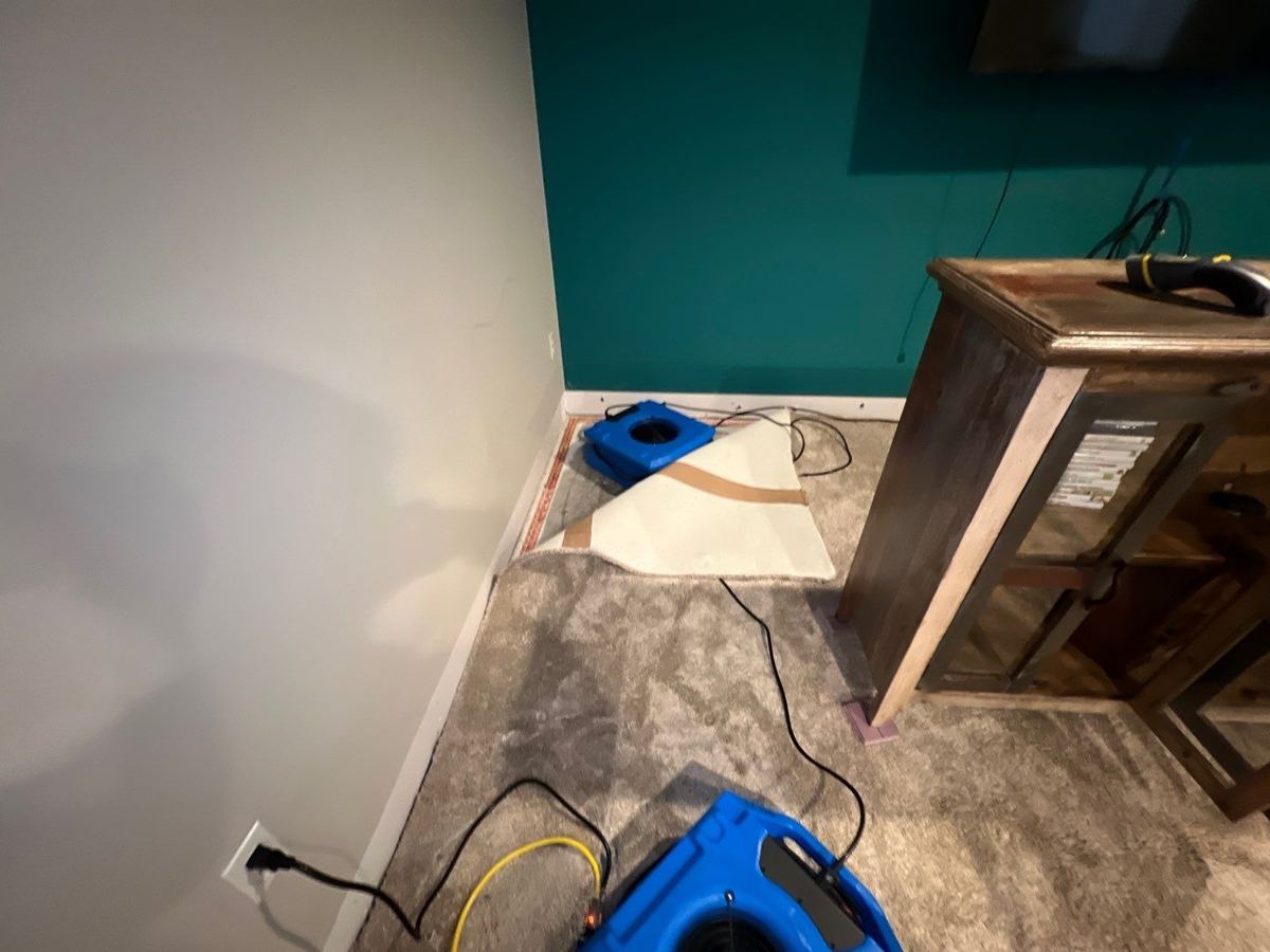 Basement carpet folded back from the wall with an air mover drying the floor underneath