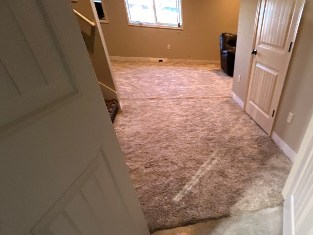 Basement carpet pulled back with the wet pad removed, exposing the concrete floor to dry