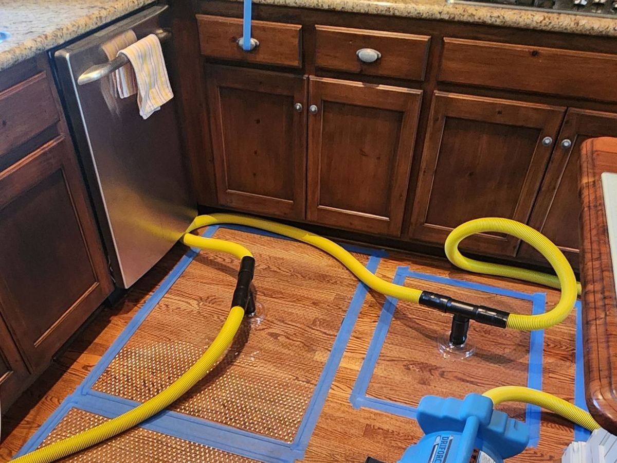 Drying mats and hoses on a hardwood kitchen floor in front of the sink cabinet and dishwasher
