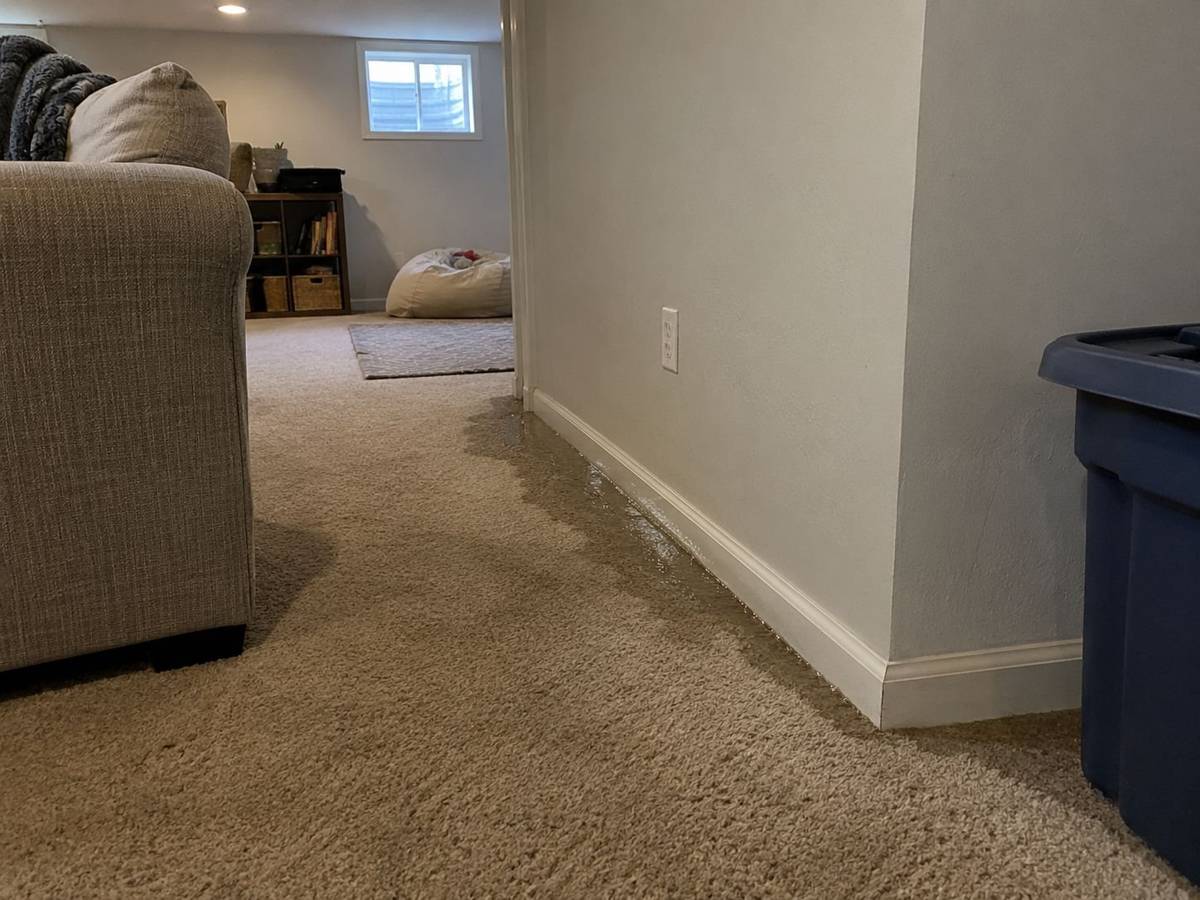 Wet carpet along the wall of a finished basement after heavy rain
