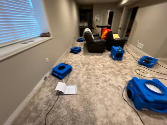 Air movers lined along the walls of a carpeted finished basement after a sump pump failure in Lee’s Summit, MO