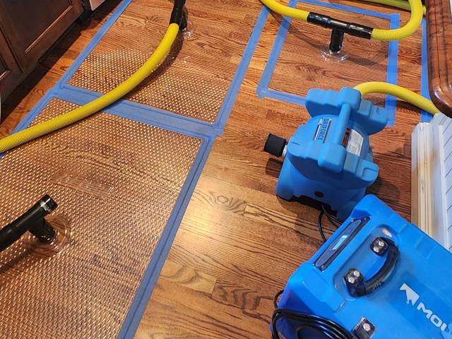 Drying mats, hoses and a dehumidifier on cupped hardwood floors in Overland Park, KS