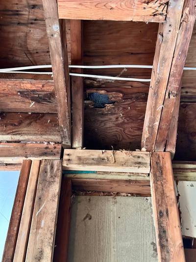 Wall and ceiling framing exposed for drying in Overland Park, KS